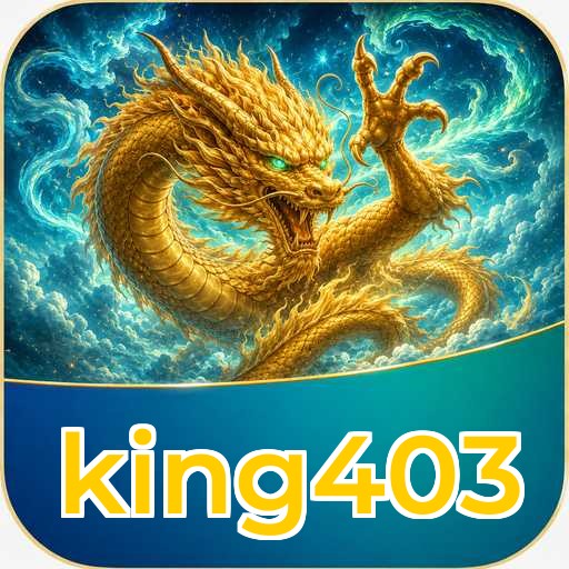 Audit profile king403